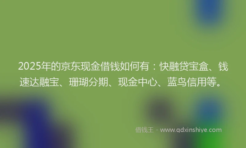 2025年的京东现金借钱如何有：快融贷宝盒、钱速达融宝、珊瑚分期、现金中心、蓝鸟信用等。