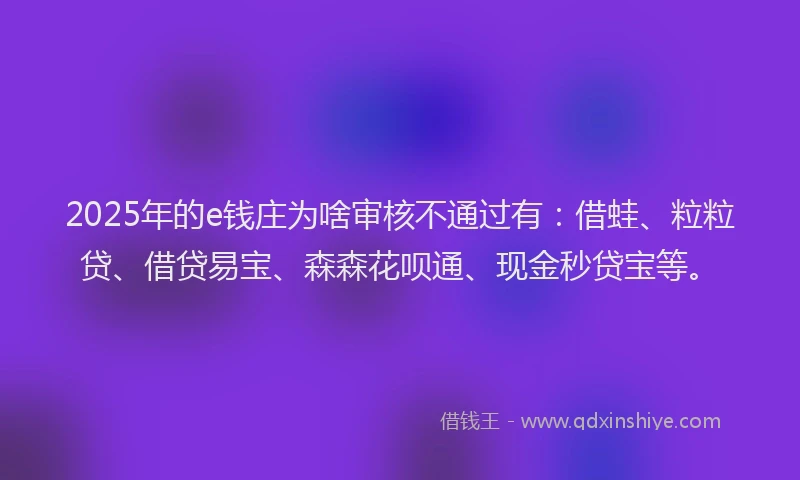 2025年的e钱庄为啥审核不通过有：借蛙、粒粒贷、借贷易宝、森森花呗通、现金秒贷宝等。