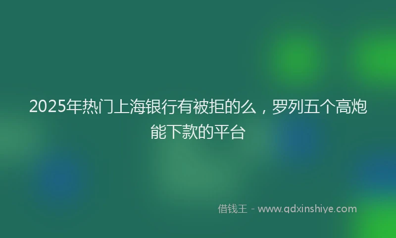 2025年热门上海银行有被拒的么，罗列五个高炮能下款的平台