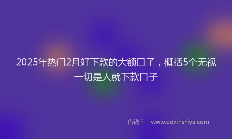 2025年热门2月好下款的大额口子，概括5个无视一切是人就下款口子