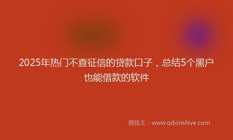 2025年热门不查征信的贷款口子，总结5个黑户也能借款的软件