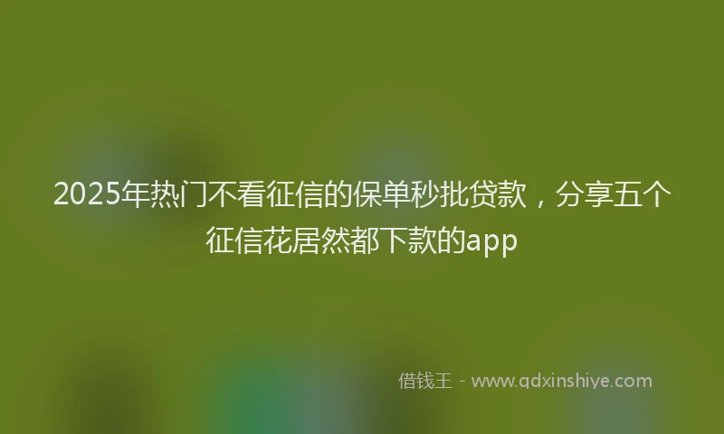 2025年热门不看征信的保单秒批贷款，分享五个征信花居然都下款的app