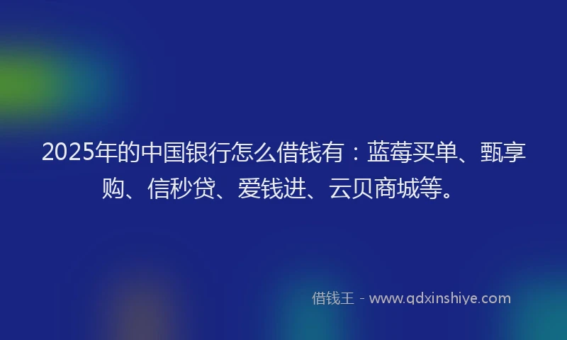 2025年的中国银行怎么借钱有：蓝莓买单、甄享购、信秒贷、爱钱进、云贝商城等。