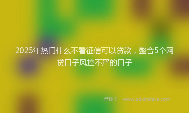 2025年热门什么不看征信可以贷款，整合5个网贷口子风控不严的口子