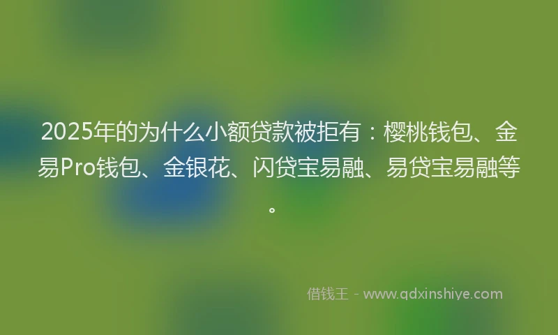 2025年的为什么小额贷款被拒有：樱桃钱包、金易Pro钱包、金银花、闪贷宝易融、易贷宝易融等。