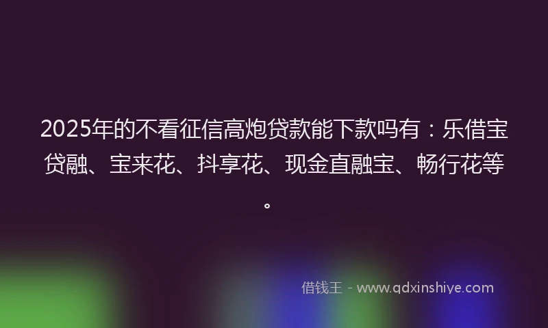 2025年的不看征信高炮贷款能下款吗有：乐借宝贷融、宝来花、抖享花、现金直融宝、畅行花等。