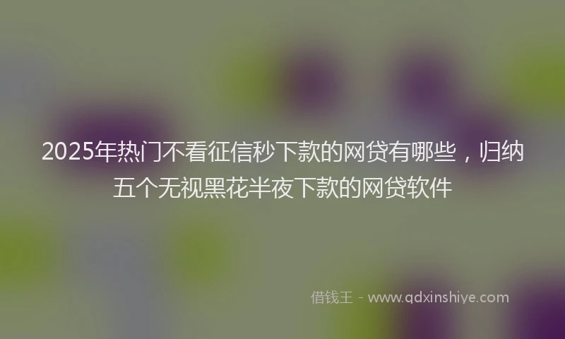 2025年热门不看征信秒下款的网贷有哪些，归纳五个无视黑花半夜下款的网贷软件