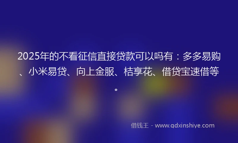 2025年的不看征信直接贷款可以吗有：多多易购、小米易贷、向上金服、桔享花、借贷宝速借等。