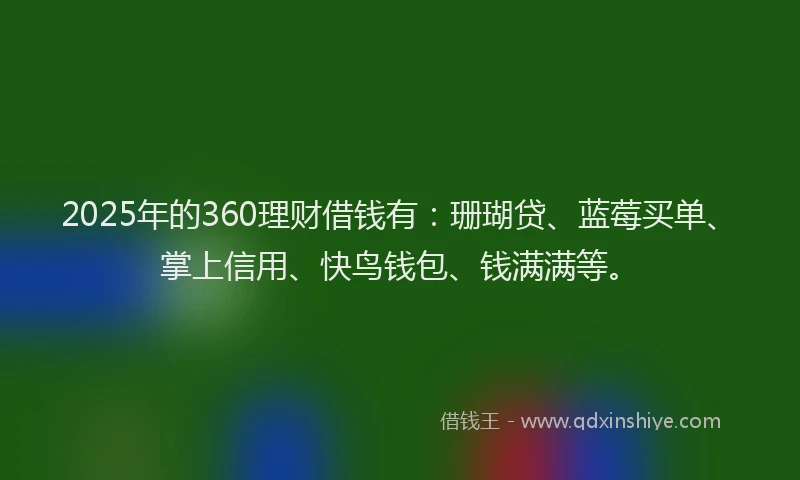 2025年的360理财借钱有：珊瑚贷、蓝莓买单、掌上信用、快鸟钱包、钱满满等。