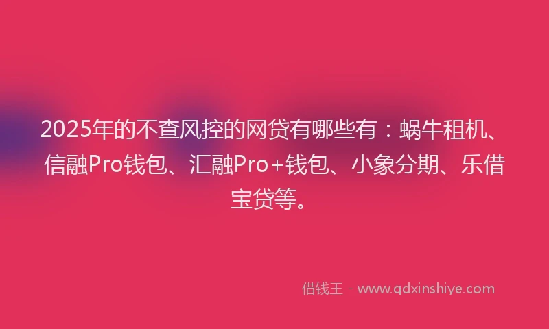 2025年的不查风控的网贷有哪些有：蜗牛租机、信融Pro钱包、汇融Pro+钱包、小象分期、乐借宝贷等。