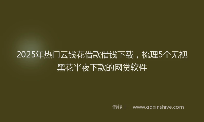 2025年热门云钱花借款借钱下载，梳理5个无视黑花半夜下款的网贷软件