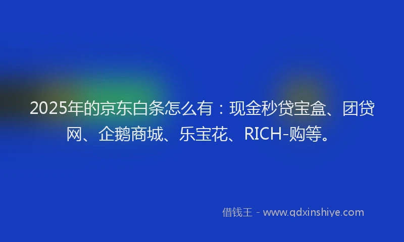 2025年的京东白条怎么有：现金秒贷宝盒、团贷网、企鹅商城、乐宝花、RICH-购等。