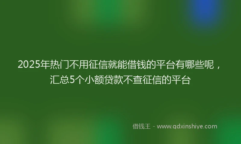 2025年热门不用征信就能借钱的平台有哪些呢，汇总5个小额贷款不查征信的平台