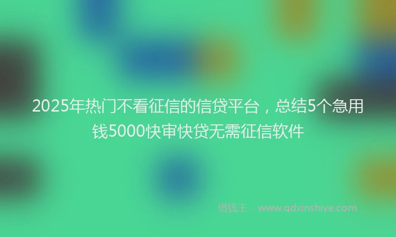 2025年热门不看征信的信贷平台，总结5个急用钱5000快审快贷无需征信软件