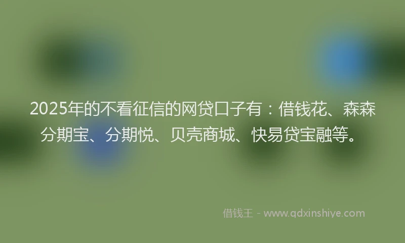 2025年的不看征信的网贷口子有：借钱花、森森分期宝、分期悦、贝壳商城、快易贷宝融等。
