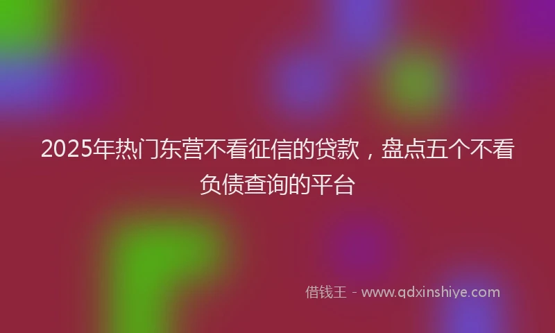 2025年热门东营不看征信的贷款，盘点五个不看负债查询的平台