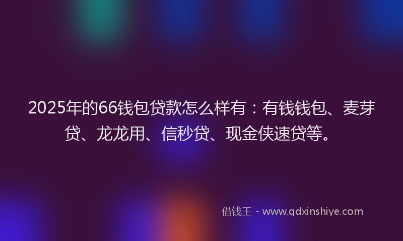 2025年的66钱包贷款怎么样有：有钱钱包、麦芽贷、龙龙用、信秒贷、现金侠速贷等。