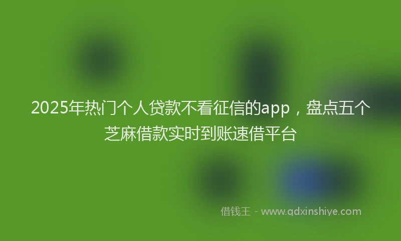 2025年热门个人贷款不看征信的app，盘点五个芝麻借款实时到账速借平台