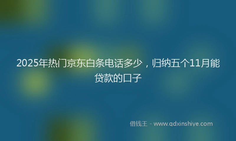 2025年热门京东白条电话多少，归纳五个11月能贷款的口子