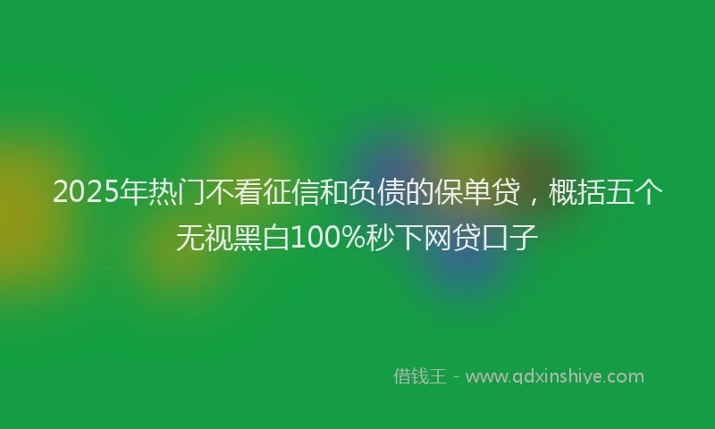 2025年热门不看征信和负债的保单贷，概括五个无视黑白100%秒下网贷口子