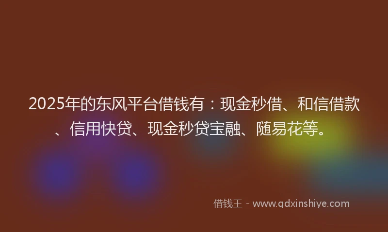 2025年的东风平台借钱有：现金秒借、和信借款、信用快贷、现金秒贷宝融、随易花等。