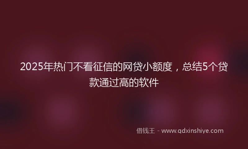 2025年热门不看征信的网贷小额度，总结5个贷款通过高的软件