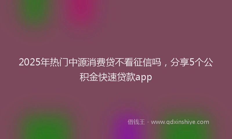 2025年热门中源消费贷不看征信吗，分享5个公积金快速贷款app