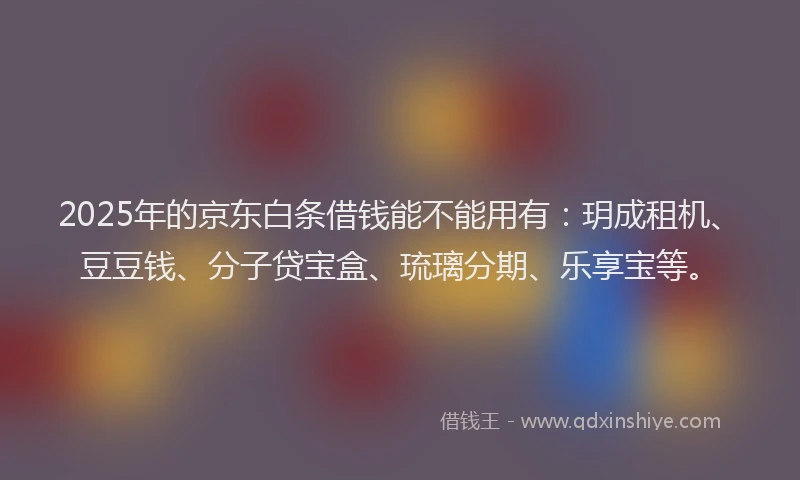 2025年的京东白条借钱能不能用有：玥成租机、豆豆钱、分子贷宝盒、琉璃分期、乐享宝等。