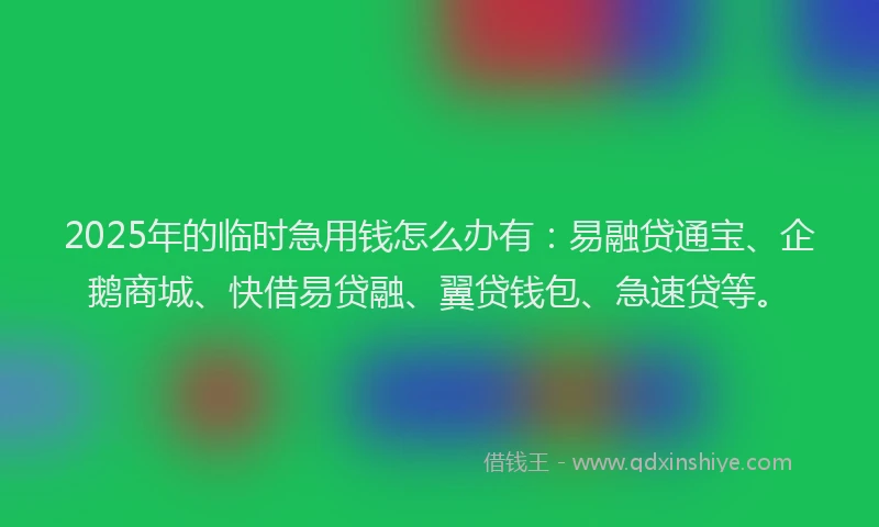 2025年的临时急用钱怎么办有：易融贷通宝、企鹅商城、快借易贷融、翼贷钱包、急速贷等。