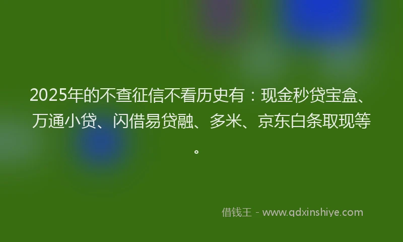 2025年的不查征信不看历史有：现金秒贷宝盒、万通小贷、闪借易贷融、多米、京东白条取现等。