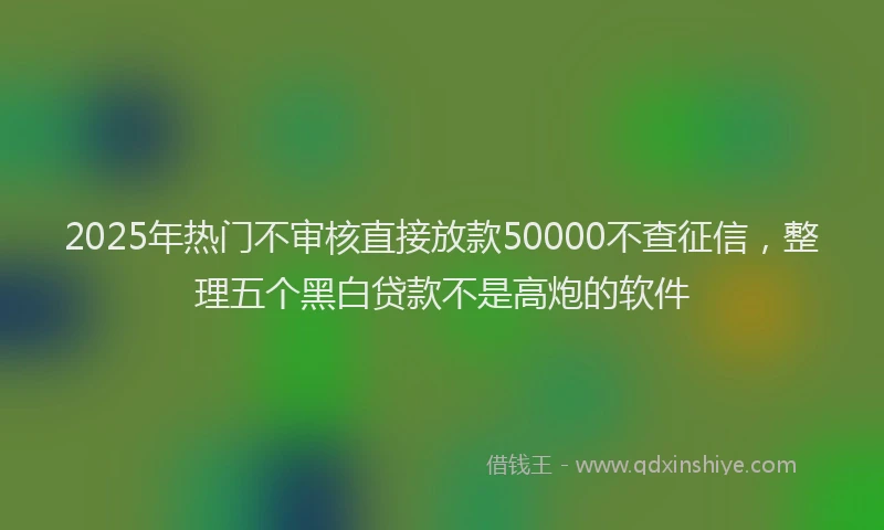 2025年热门不审核直接放款50000不查征信，整理五个黑白贷款不是高炮的软件