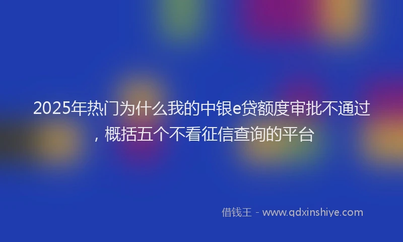 2025年热门为什么我的中银e贷额度审批不通过，概括五个不看征信查询的平台