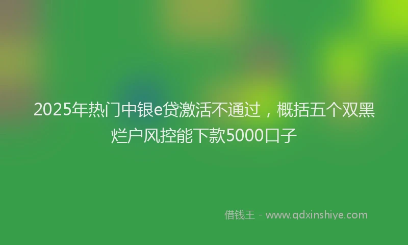 2025年热门中银e贷激活不通过，概括五个双黑烂户风控能下款5000口子