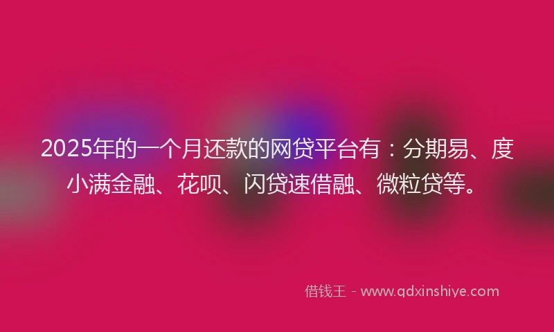 2025年的一个月还款的网贷平台有：分期易、度小满金融、花呗、闪贷速借融、微粒贷等。