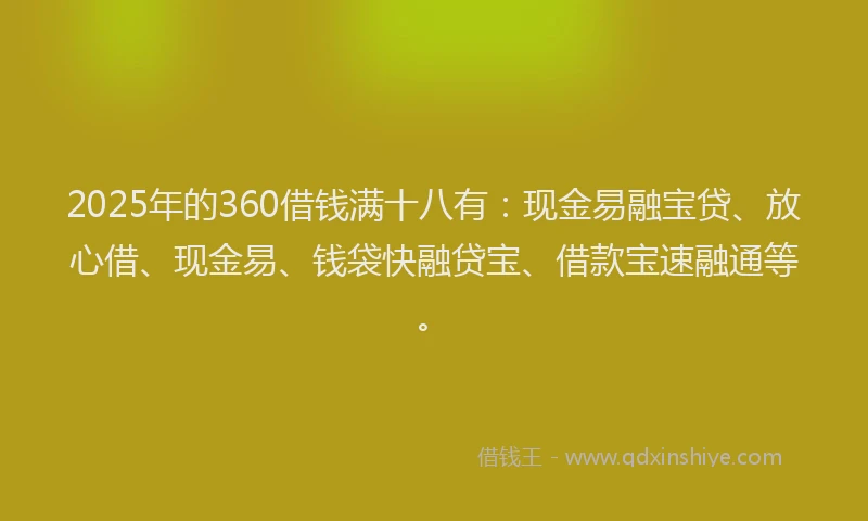 2025年的360借钱满十八有：现金易融宝贷、放心借、现金易、钱袋快融贷宝、借款宝速融通等。