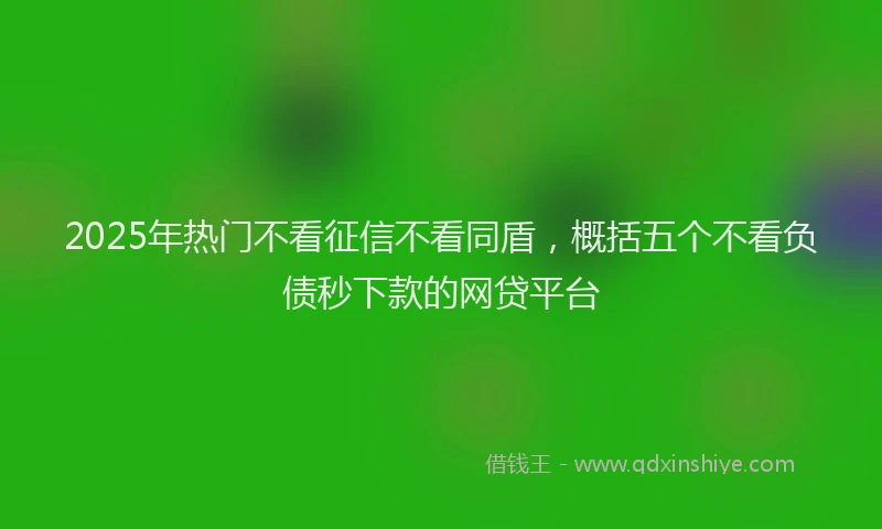 2025年热门不看征信不看同盾，概括五个不看负债秒下款的网贷平台