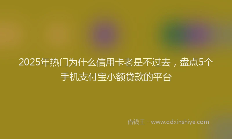 2025年热门为什么信用卡老是不过去，盘点5个手机支付宝小额贷款的平台