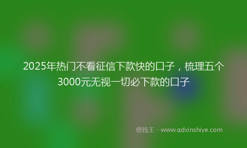 2025年热门不看征信下款快的口子，梳理五个3000元无视一切必下款的口子