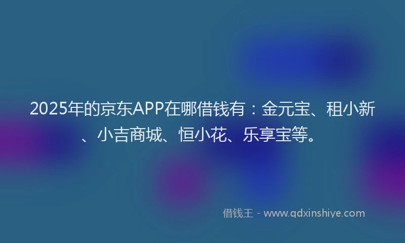 2025年的京东APP在哪借钱有：金元宝、租小新、小吉商城、恒小花、乐享宝等。
