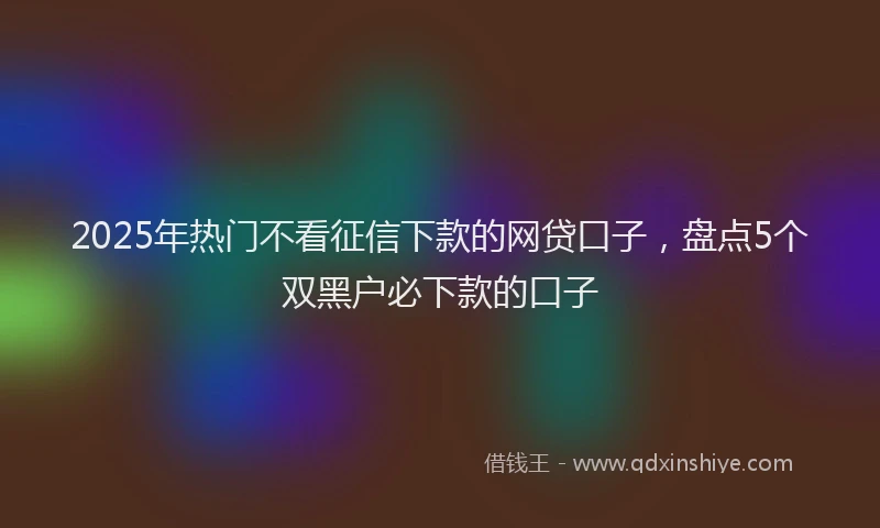 2025年热门不看征信下款的网贷口子，盘点5个双黑户必下款的口子