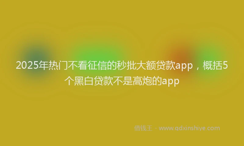 2025年热门不看征信的秒批大额贷款app，概括5个黑白贷款不是高炮的app
