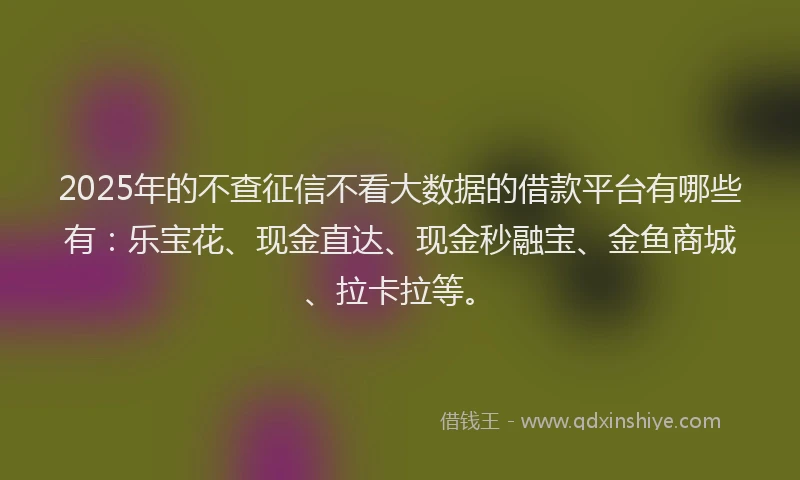 2025年的不查征信不看大数据的借款平台有哪些有：乐宝花、现金直达、现金秒融宝、金鱼商城、拉卡拉等。