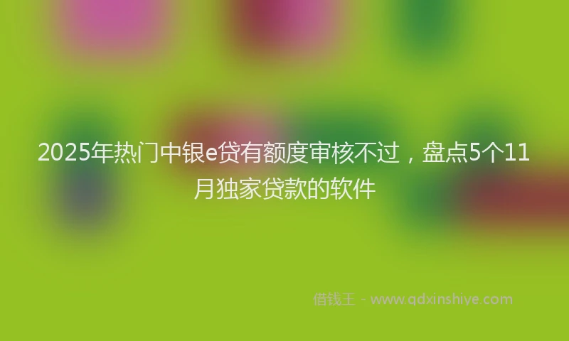 2025年热门中银e贷有额度审核不过，盘点5个11月独家贷款的软件