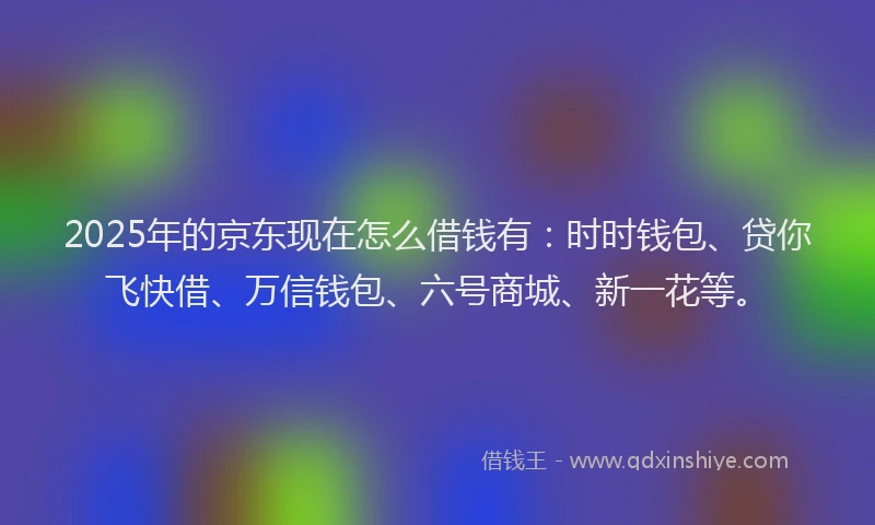 2025年的京东现在怎么借钱有：时时钱包、贷你飞快借、万信钱包、六号商城、新一花等。