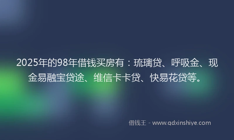 2025年的98年借钱买房有：琉璃贷、呼吸金、现金易融宝贷途、维信卡卡贷、快易花贷等。