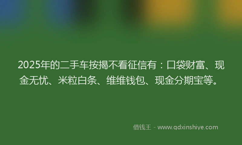 2025年的二手车按揭不看征信有：口袋财富、现金无忧、米粒白条、维维钱包、现金分期宝等。