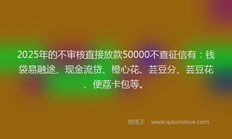 2025年的不审核直接放款50000不查征信有：钱袋易融途、现金流贷、橙心花、芸豆分、芸豆花、便荔卡包等。