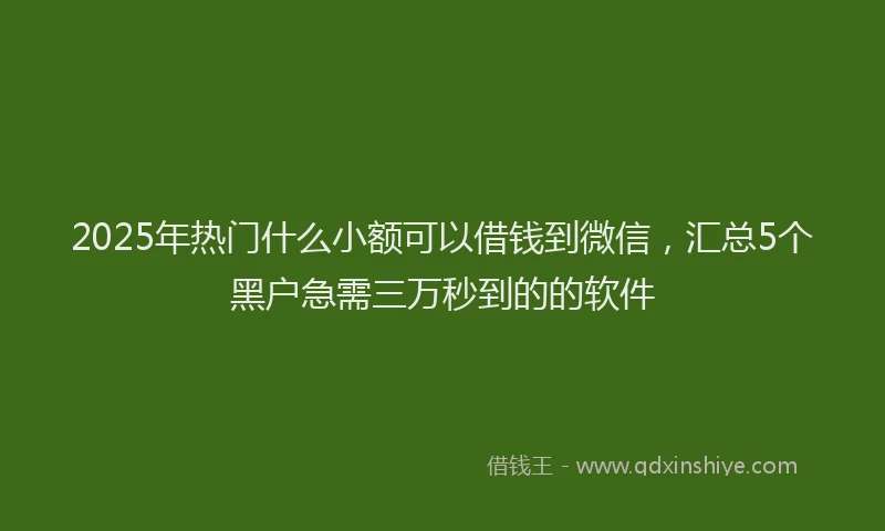 2025年热门什么小额可以借钱到微信，汇总5个黑户急需三万秒到的的软件