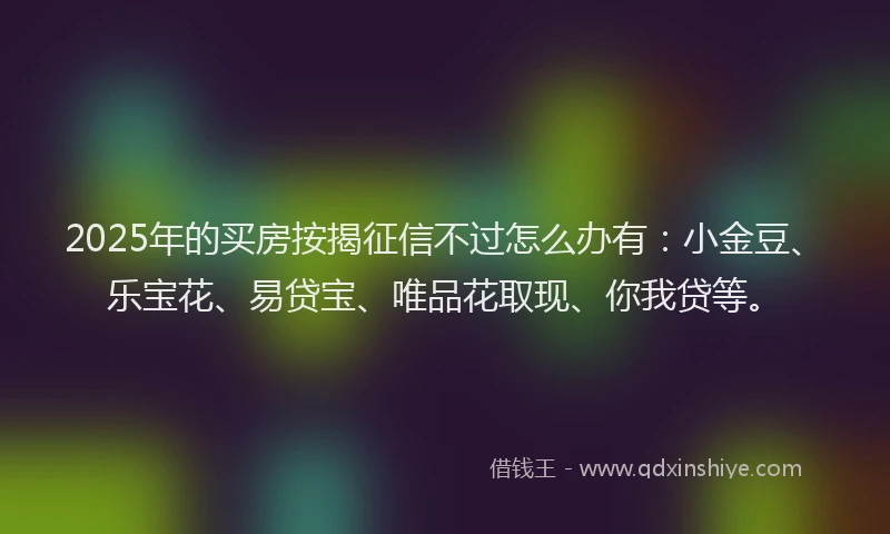 2025年的买房按揭征信不过怎么办有：小金豆、乐宝花、易贷宝、唯品花取现、你我贷等。