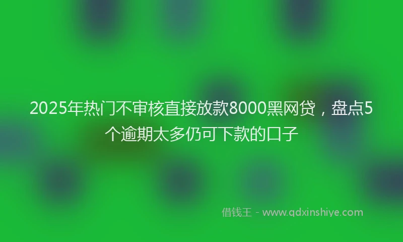 2025年热门不审核直接放款8000黑网贷，盘点5个逾期太多仍可下款的口子